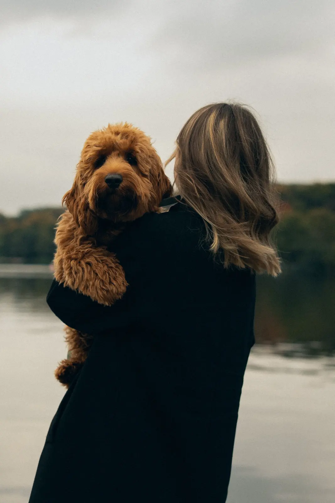 A pet owner hugging her Labradoodle beside a river
