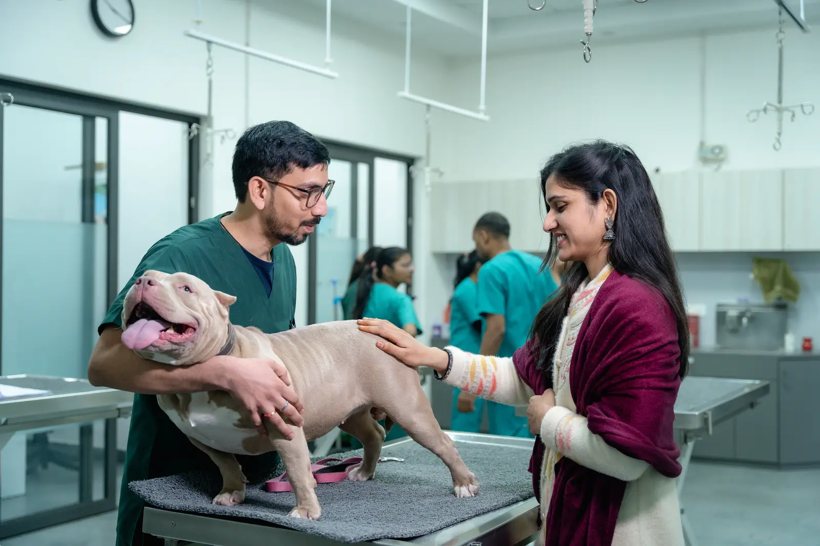 A pet owner strokes her dog during a veterinary consultation